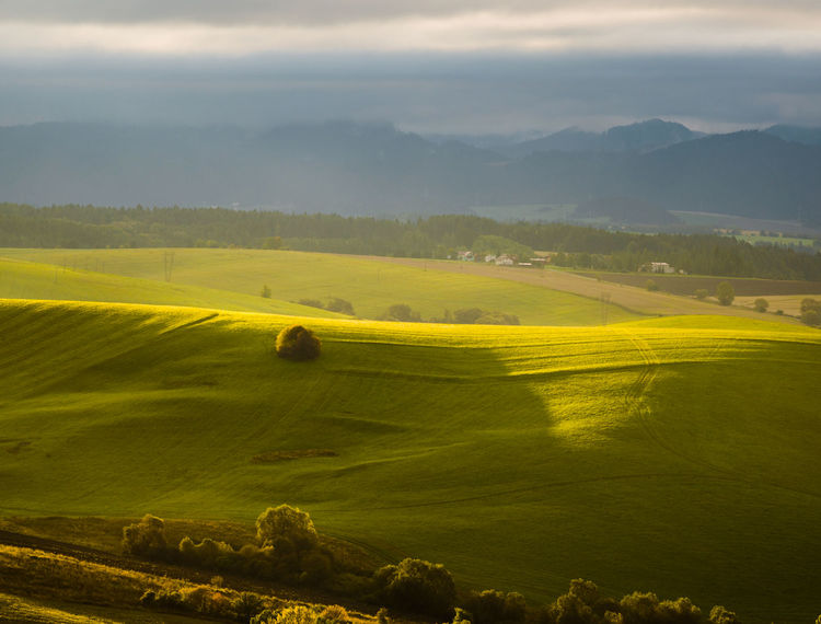 Ekovib | Environmentálne poradenstvo